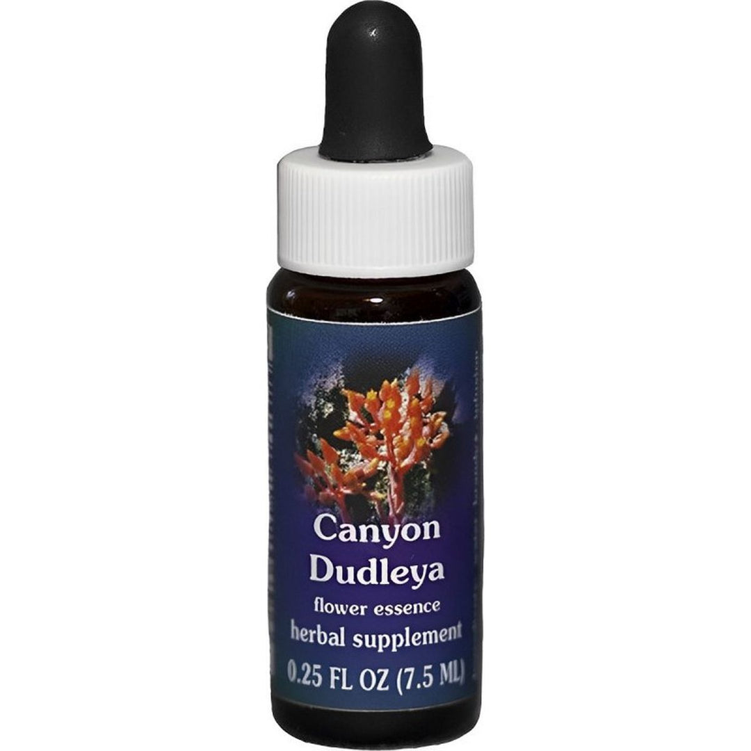 Flower Essence Services Supplement Dropper, Canyon Dudleya, 0.25 Ounce