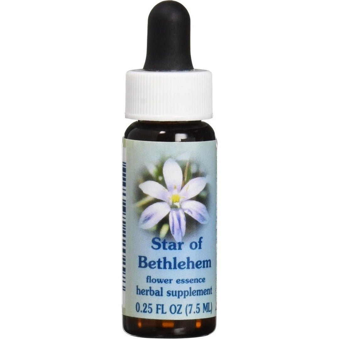 Flower Essence Services Star of Bethlehem Dropper Herbal Supplements, 1 Ounce