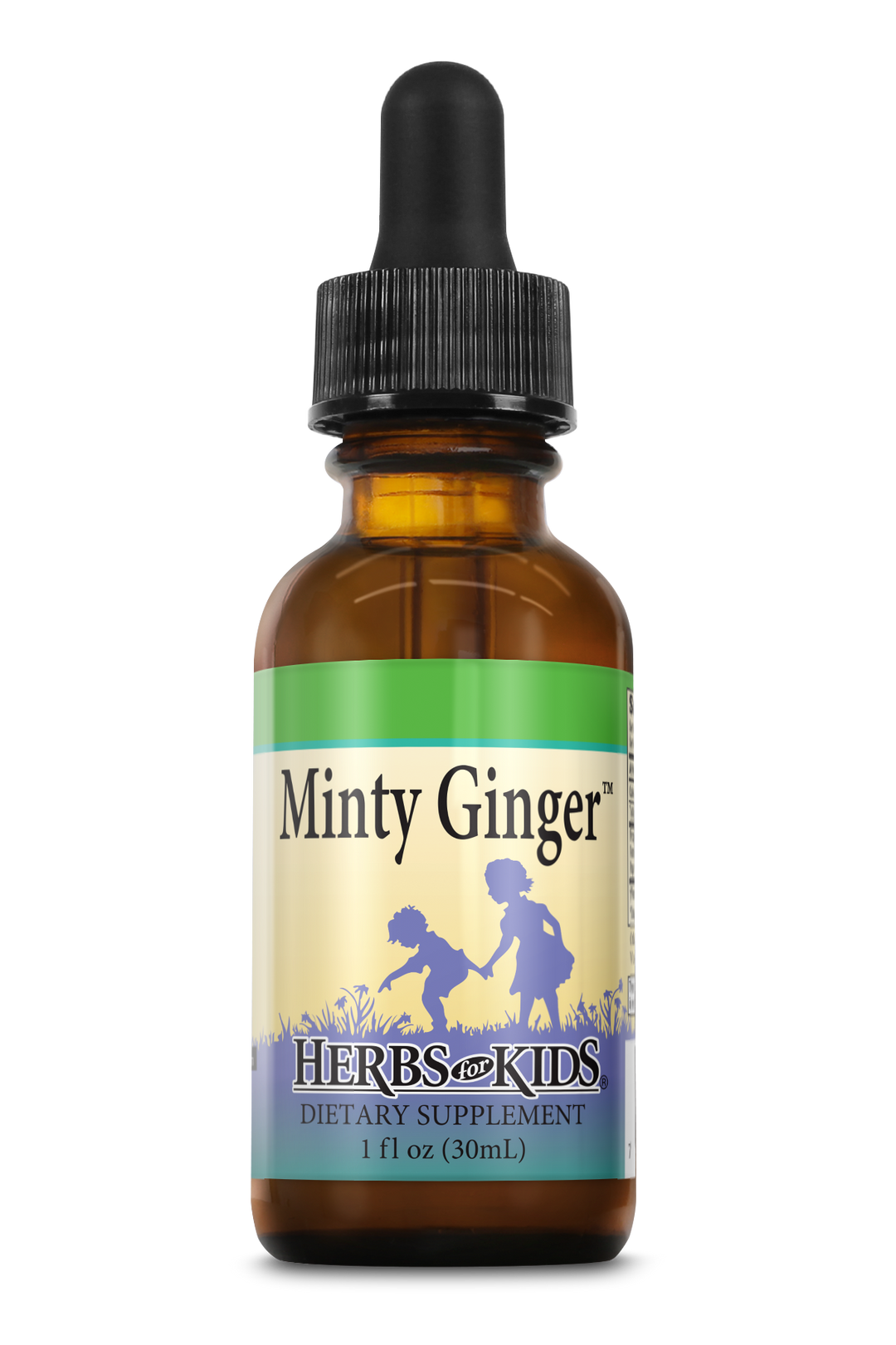 Nutra BioGenesis Minty Ginger 1 OZ, Pack of 2