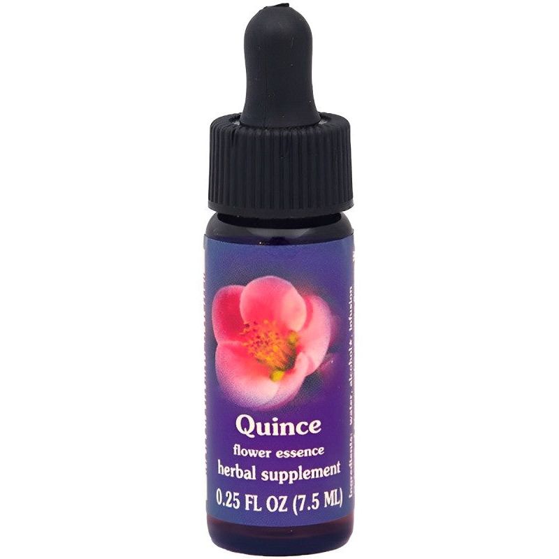 Quince Dropper, 0.25 oz by Flower Essence Services (Pack of 3)