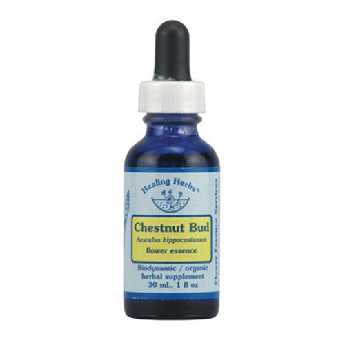 Flower Essence Services Supplement Dropper, Chestnut Bud, 0.25 Fluid Ounce