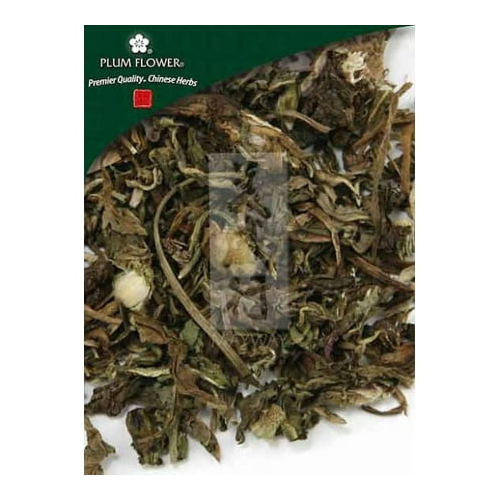 Plum Flower Pu Gong Ying unsulfured Taraxacum mongolicum herb 500 g/bag