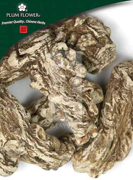 Dang Gui Tou (large), unsulfured
