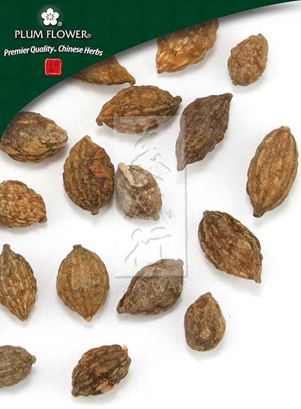Yi Zhi Ren powder, unsulfured