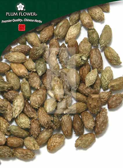 Cang Er Zi powder, unsulfured