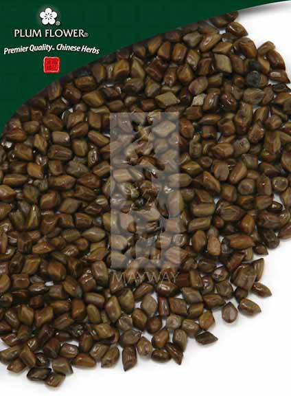 Jue Ming Zi powder, unsulfured