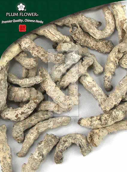 Jiang Can powder, unsulfured