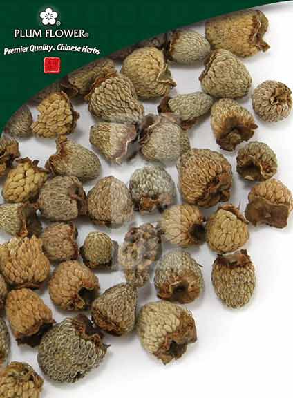 Fu Pen Zi extract powder