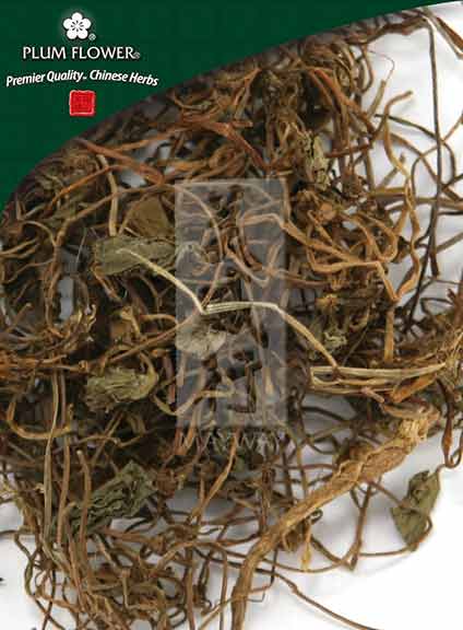Ji Xue Cao extract powder