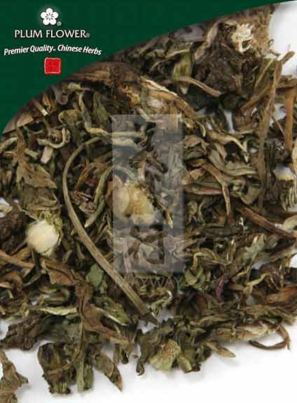 Pu Gong Ying extract powder