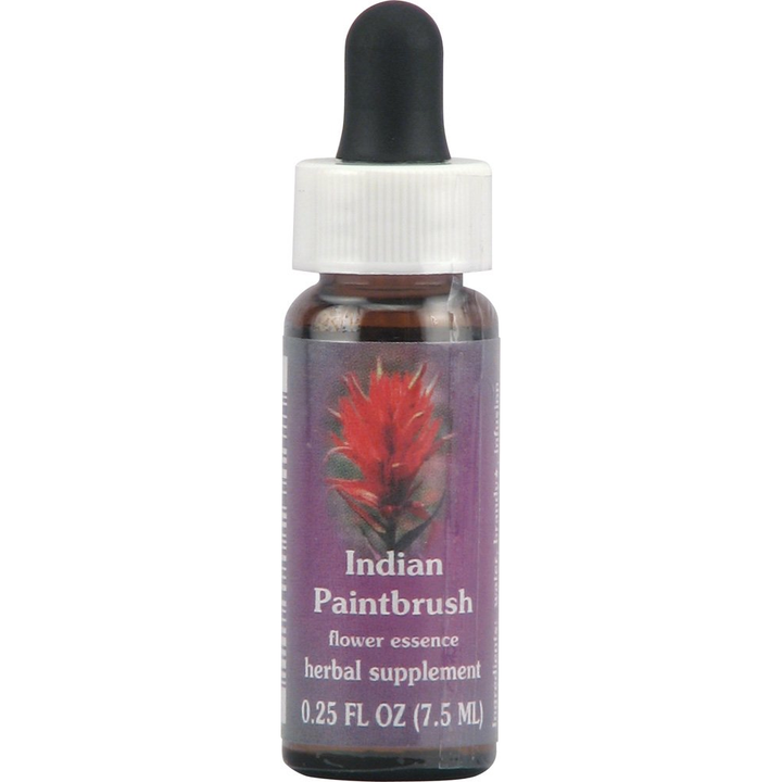 Flower Essence Services Quintessentials Supplement Dropper, Indian Paintbrush, 0.25 Fluid Ounce