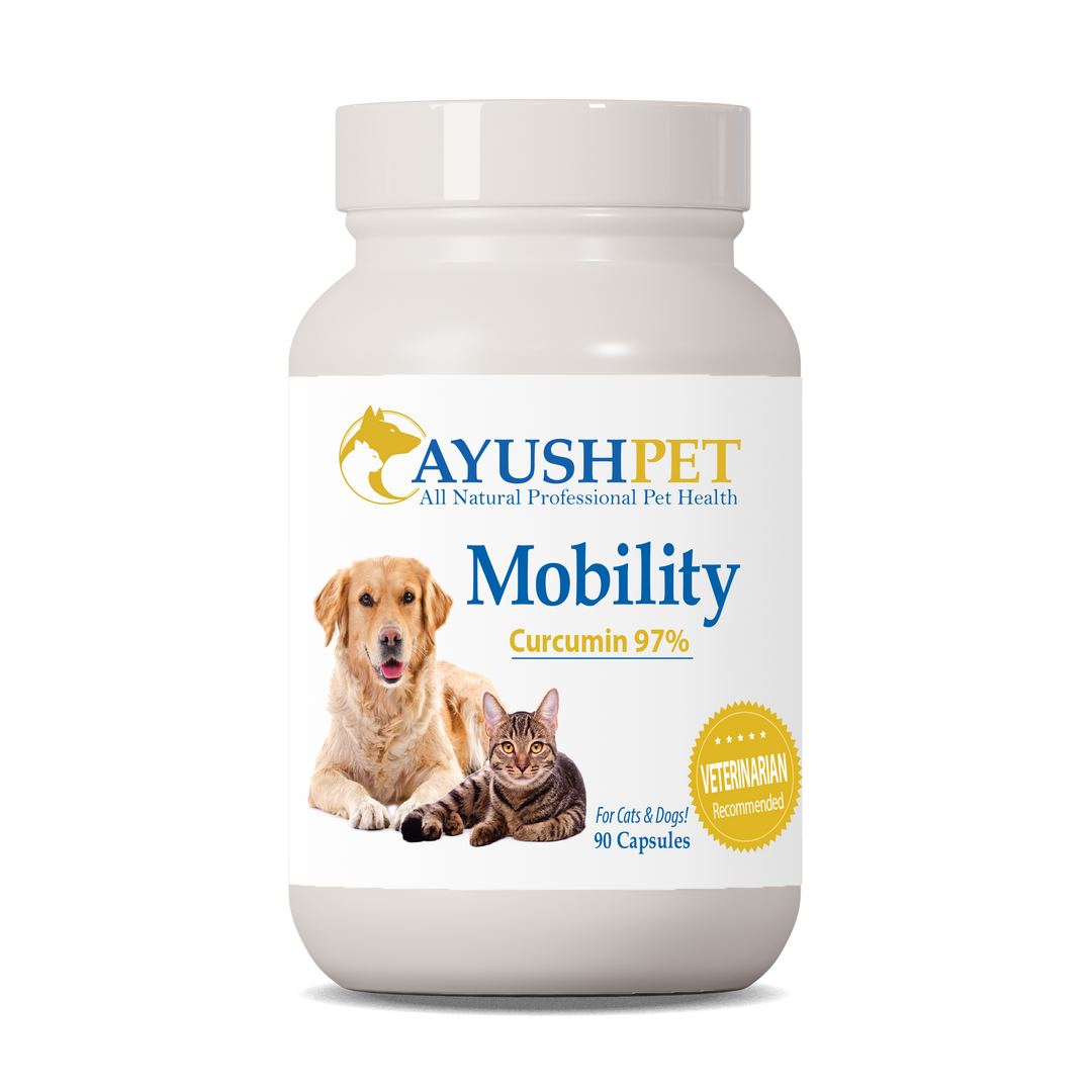 Ayush Herbs Pet Curcumin 97% / 90 capsules