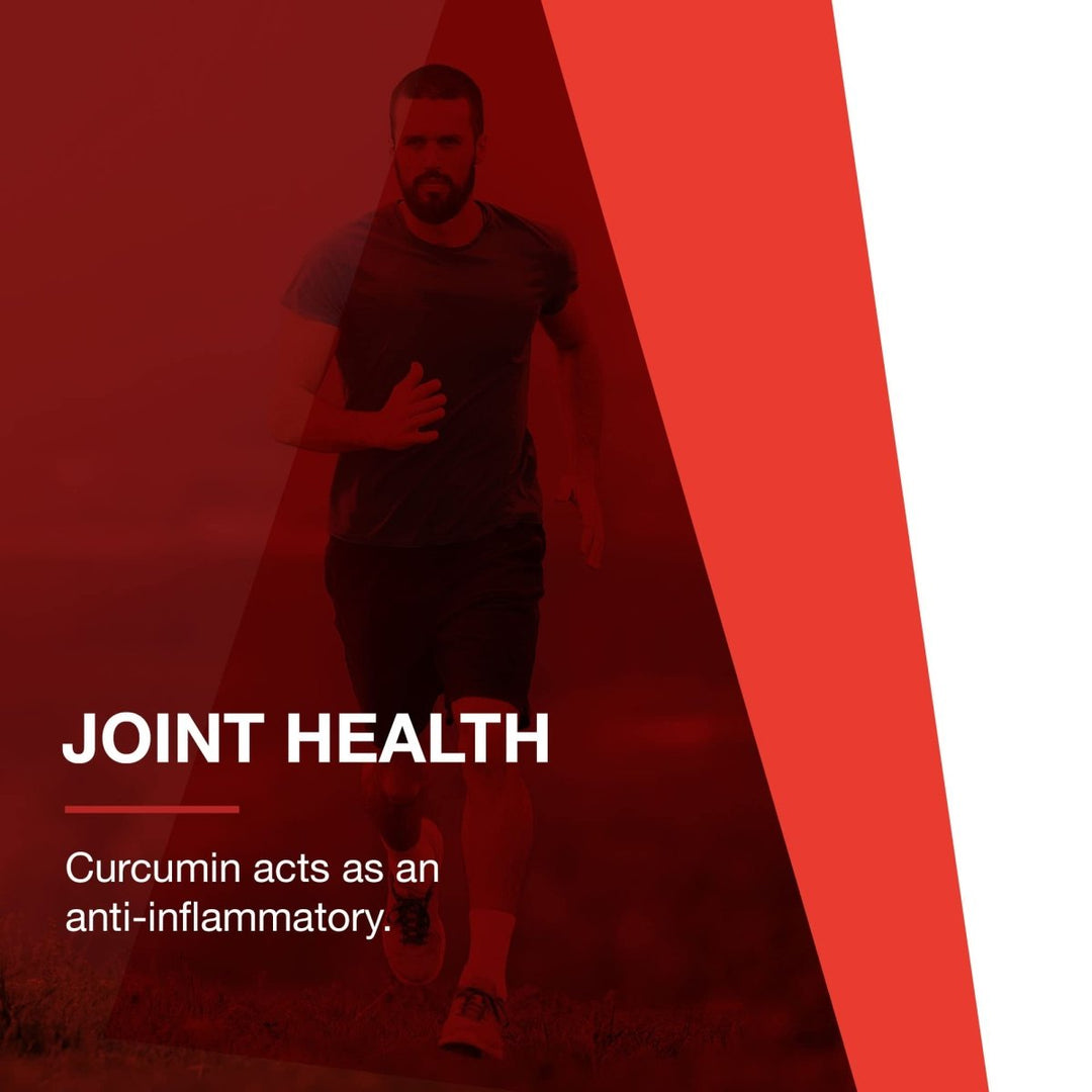 Protocol For Life Balance Curcumin Phytosome Bio - Enhanced Turmeric Extract 60 Vcaps - P4642 - The Oasis of Health