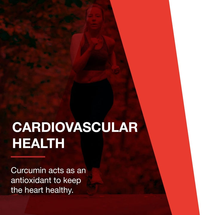 Protocol For Life Balance Curcumin Phytosome Bio - Enhanced Turmeric Extract 60 Vcaps - P4642 - The Oasis of Health