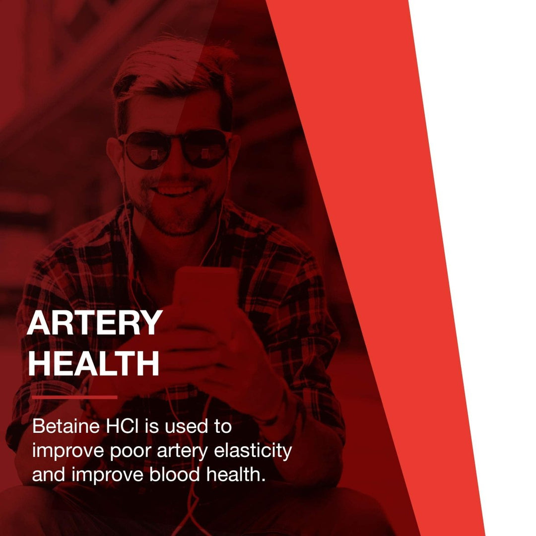 Protocol for Life Balance Enzymes - HCL 120 Capsules - P2963 - The Oasis of Health