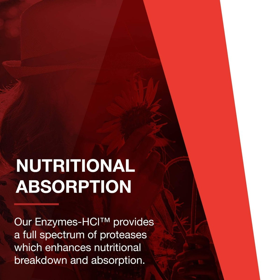 Protocol for Life Balance Enzymes - HCL 120 Capsules - P2963 - The Oasis of Health