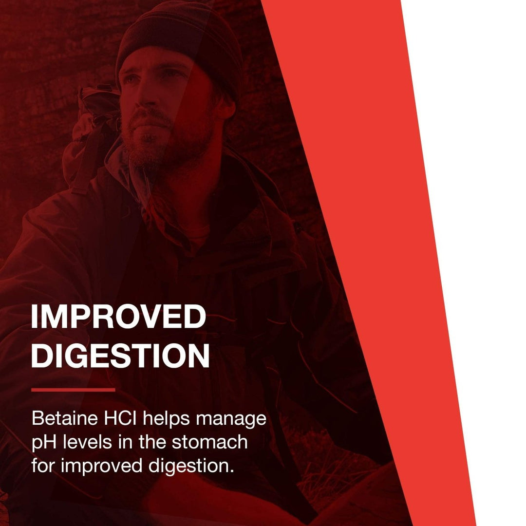 Protocol for Life Balance Enzymes - HCL 120 Capsules - P2963 - The Oasis of Health