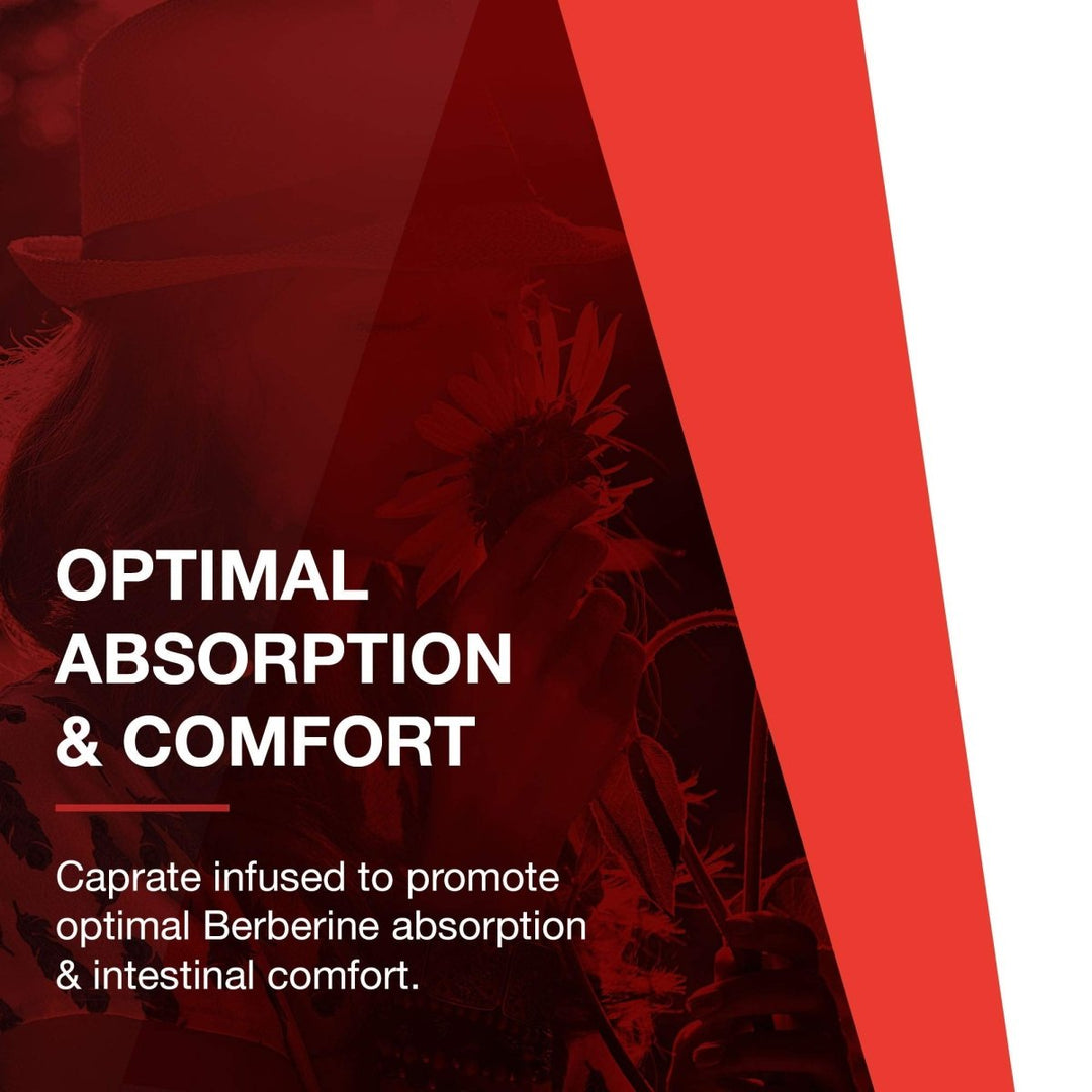 Protocol for Life Balance Glucose Management with Berberine HCL 90 Softgels - P4600 - The Oasis of Health