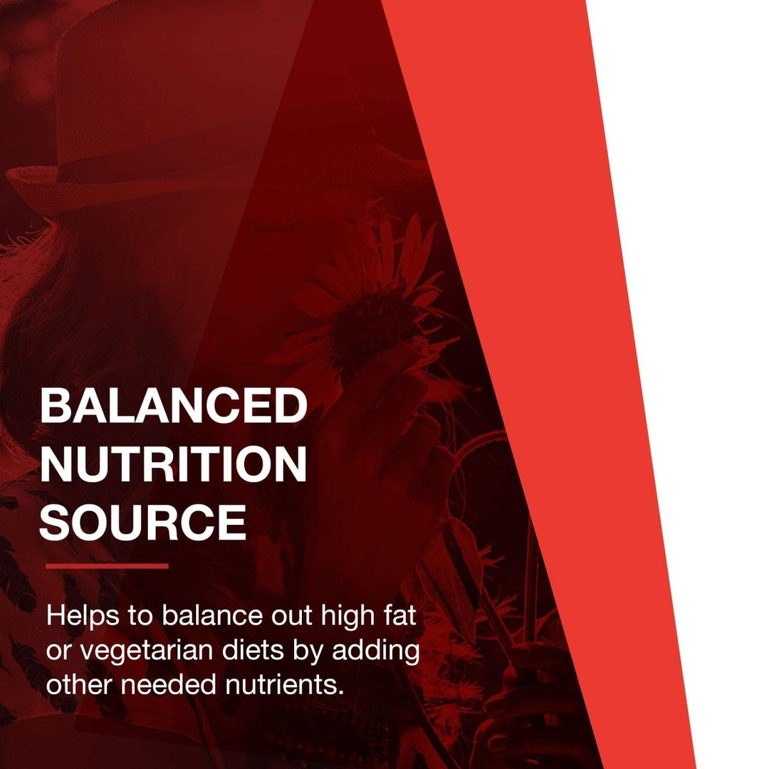 Protocol For Life Balance L - Carnitine 500 Mg 60 Vcaps - P0072 - The Oasis of Health