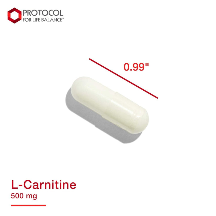Protocol For Life Balance L - Carnitine 500 Mg 60 Vcaps - P0072 - The Oasis of Health