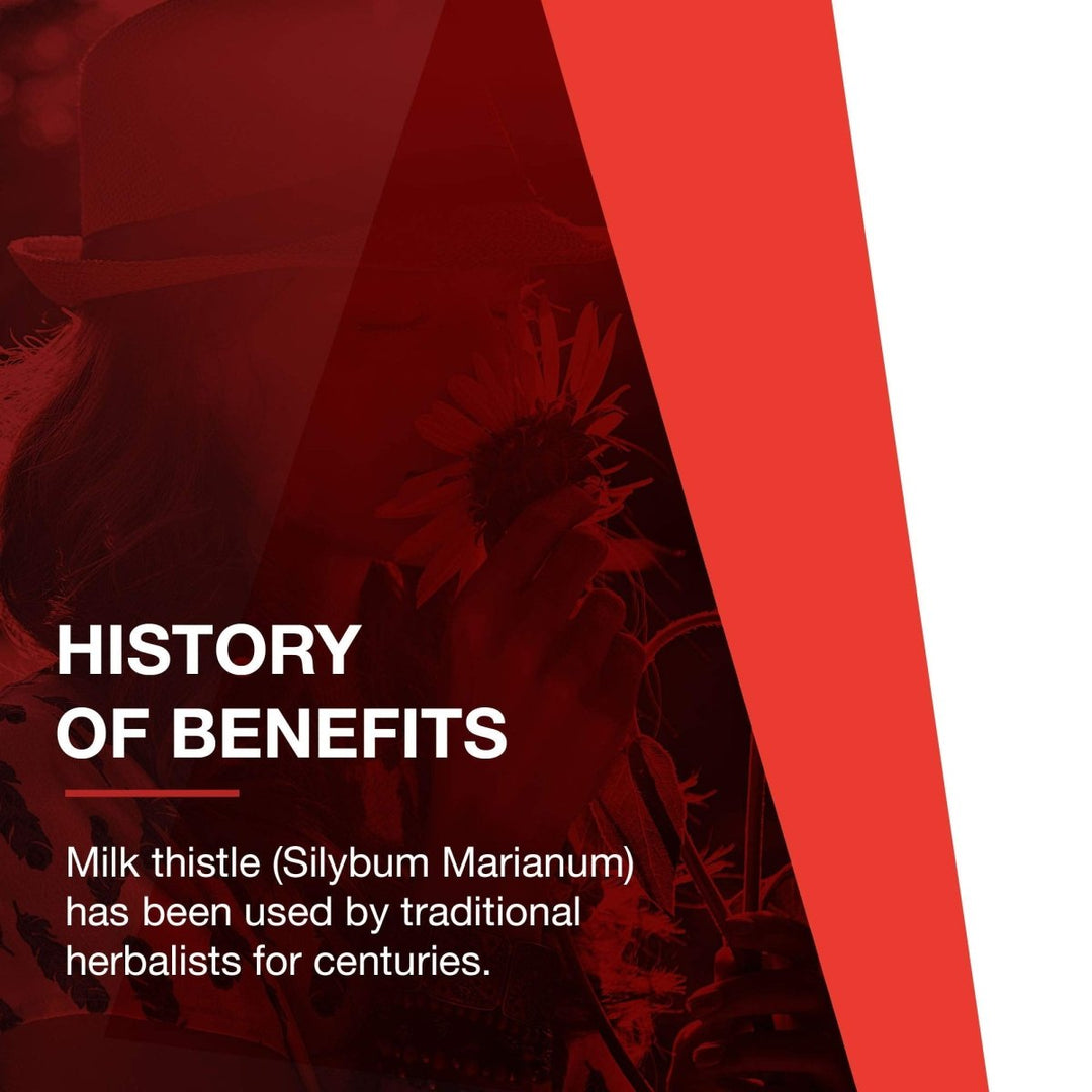 Protocol for Life Balance Milk Thistle Extract 300g 90 Vegcaps - P4739 - The Oasis of Health