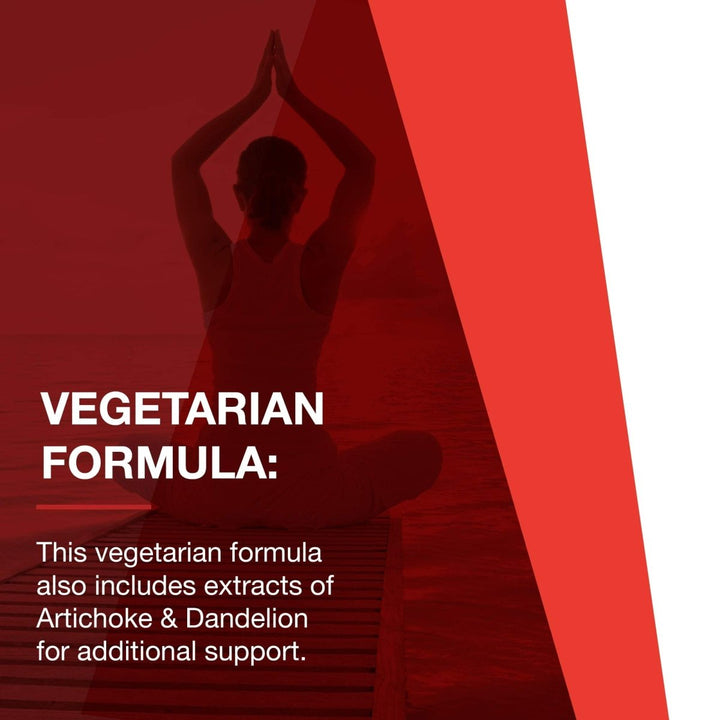 Protocol for Life Balance Milk Thistle Extract 300g 90 Vegcaps - P4739 - The Oasis of Health