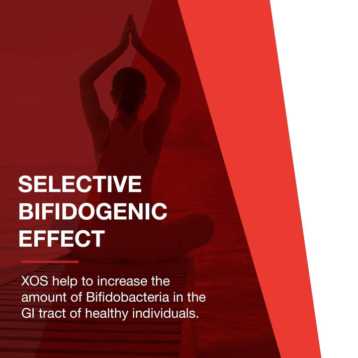 PROTOCOL FOR LIFE BALANCE - Prebiotic Powder XOS - Helps GI Tract, Help Nourish Intestinal Flora - 3 Ounces Powder - The Oasis of Health