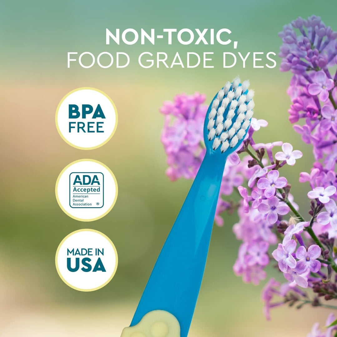 RADIUS Totz Plus Brush Kids Toothbrush Silky Soft BPA Free ADA Accepted Designed for Delicate Teeth & Gums for Children 3 Years & Up - Bluewhite/GreenYellow/Blueblue - Pack of 3 - The Oasis of Health