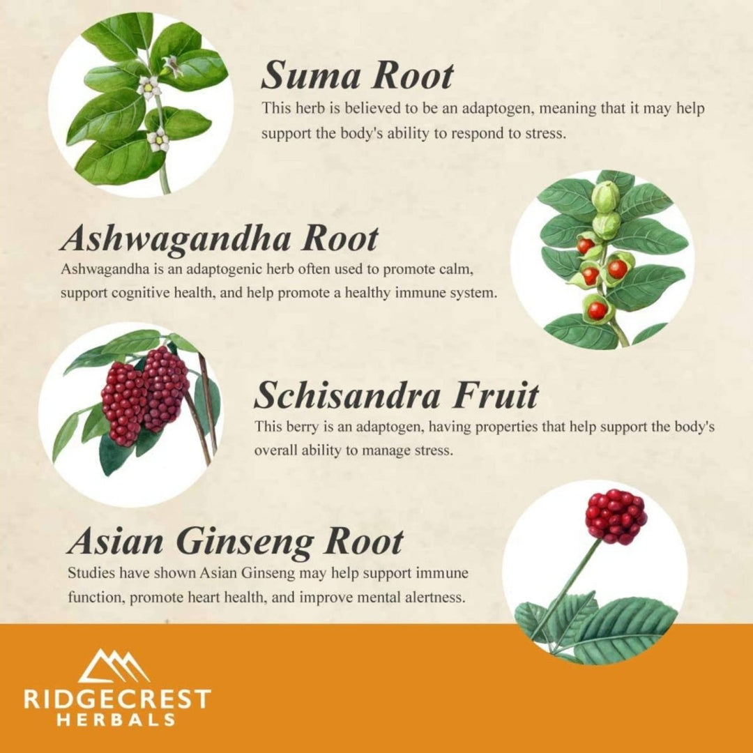 Ridgecrest Adrenal Fatigue Fighter 60 Vcaps - RG0029 - The Oasis of Health