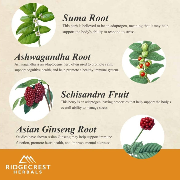 Ridgecrest Adrenal Fatigue Fighter 60 Vcaps - RG0029 - The Oasis of Health