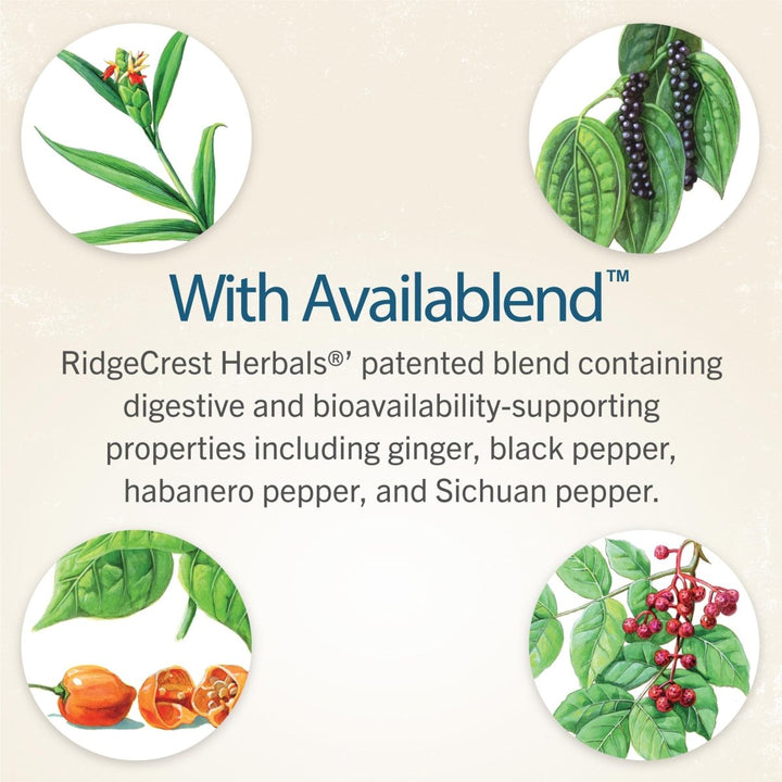 Ridgecrest Herbals DreamOn Zen 60 Vcaps - RG0013 - The Oasis of Health