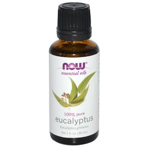 Now Essential Oils Eucalyptus Globulus Oil 1oz - 7545