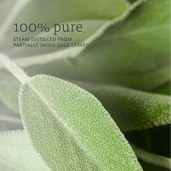 Sage oil , 1 Fluid Ounce (Pack of 2) - The Oasis of Health