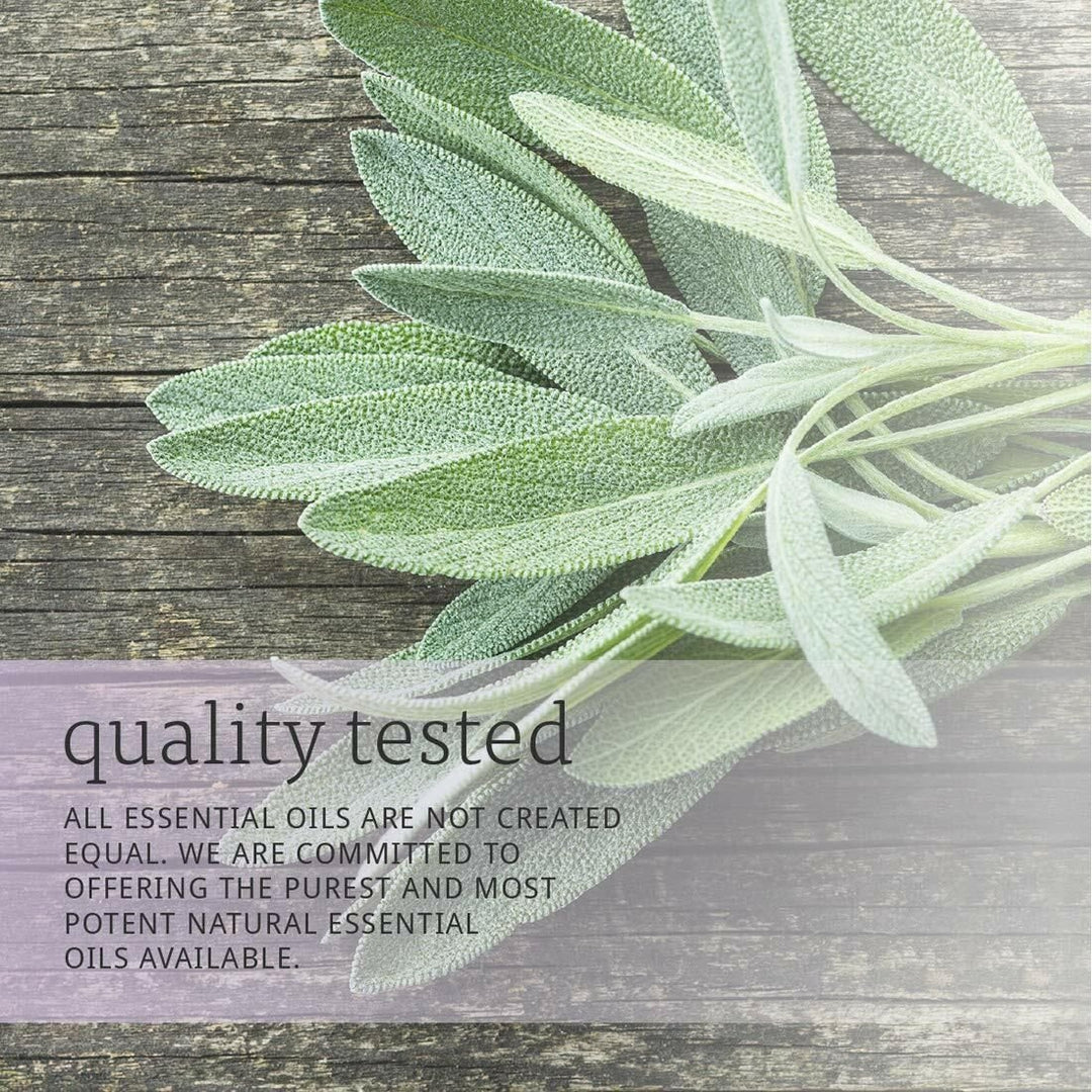 Sage oil , 1 Fluid Ounce (Pack of 2) - The Oasis of Health
