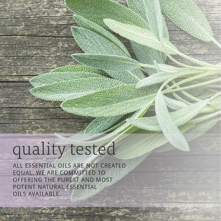 Sage oil , 1 Fluid Ounce (Pack of 2) - The Oasis of Health