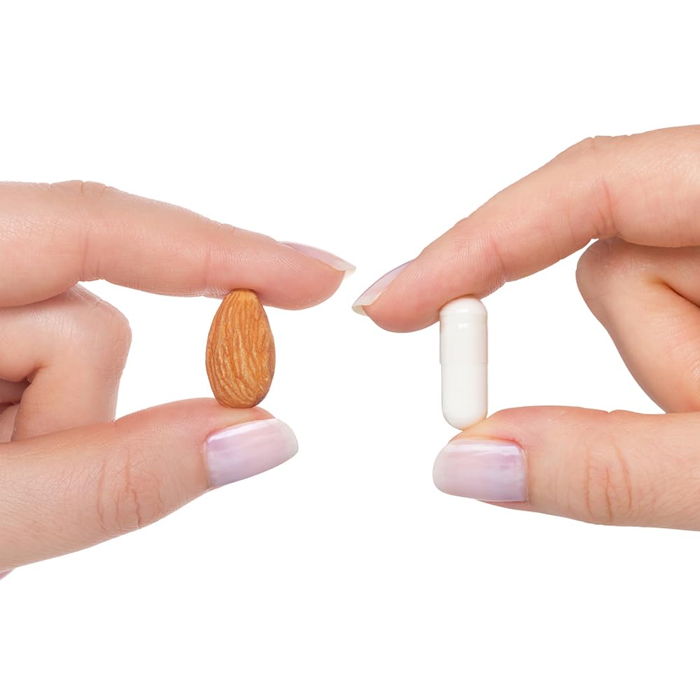 Seeking Health Acetyl - L - Carnitine - Acetyl - L - Carnitine Supplement - Supports Energy, Healthy Fat Metabolism, & Memory Health - 500 mg, 90 Capsules - The Oasis of Health