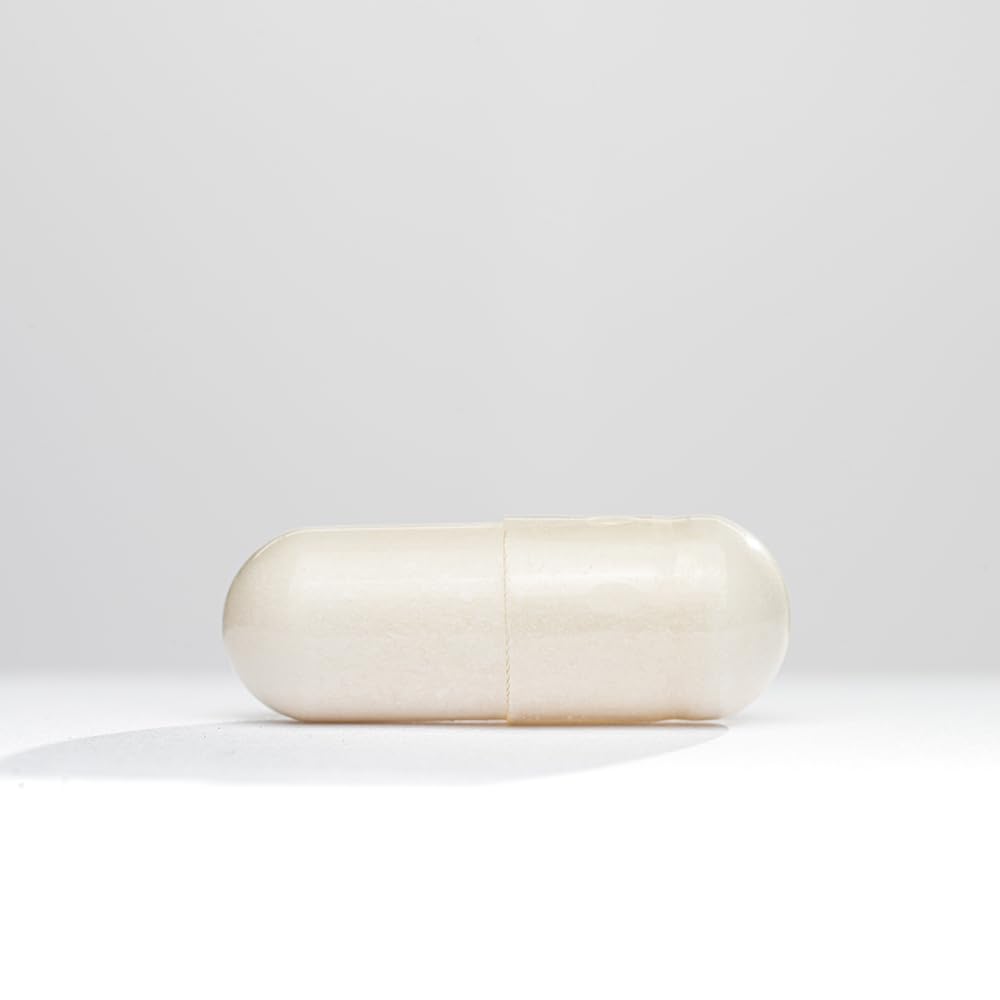 Seeking Health Acetyl - L - Carnitine - Acetyl - L - Carnitine Supplement - Supports Energy, Healthy Fat Metabolism, & Memory Health - 500 mg, 90 Capsules - The Oasis of Health