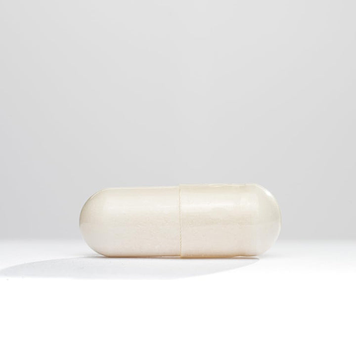 Seeking Health Acetyl - L - Carnitine - Acetyl - L - Carnitine Supplement - Supports Energy, Healthy Fat Metabolism, & Memory Health - 500 mg, 90 Capsules - The Oasis of Health