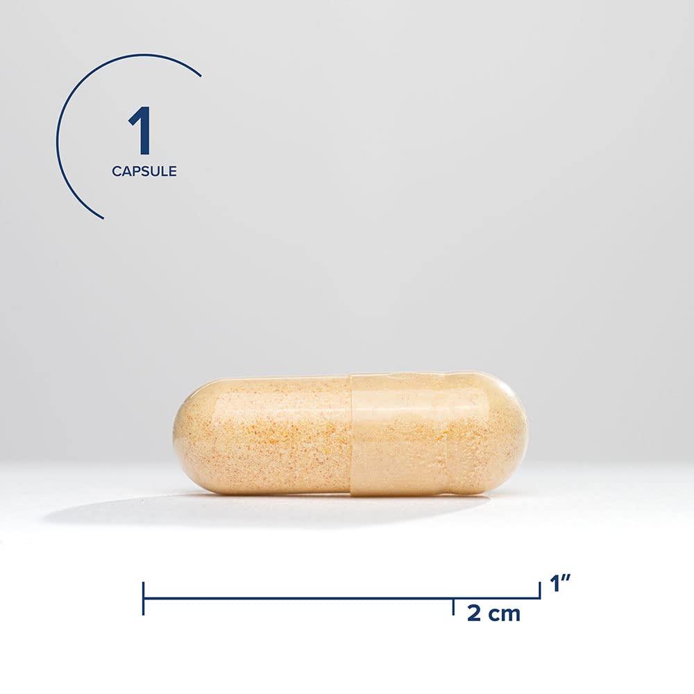 Seeking Health B Complex Plus - Vitamin B Complex Supplement with Choline & Riboflavin - Supports Brain Health, Digestion, & Energy - 100 Capsules - The Oasis of Health