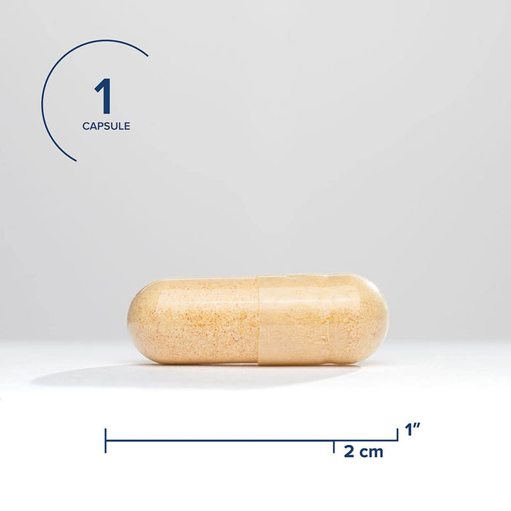 Seeking Health B Complex Plus - Vitamin B Complex Supplement with Choline & Riboflavin - Supports Brain Health, Digestion, & Energy - 100 Capsules - The Oasis of Health