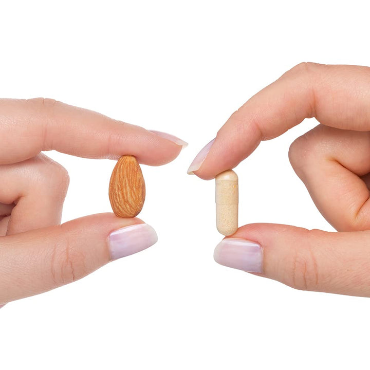 Seeking Health B Complex Plus - Vitamin B Complex Supplement with Choline & Riboflavin - Supports Brain Health, Digestion, & Energy - 100 Capsules - The Oasis of Health