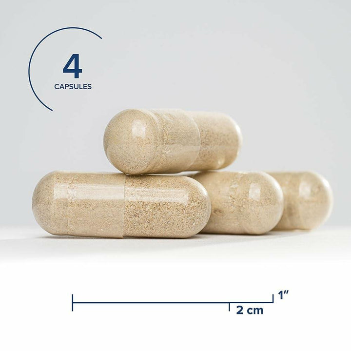 Seeking Health Gallbladder Nutrients - The Oasis of Health