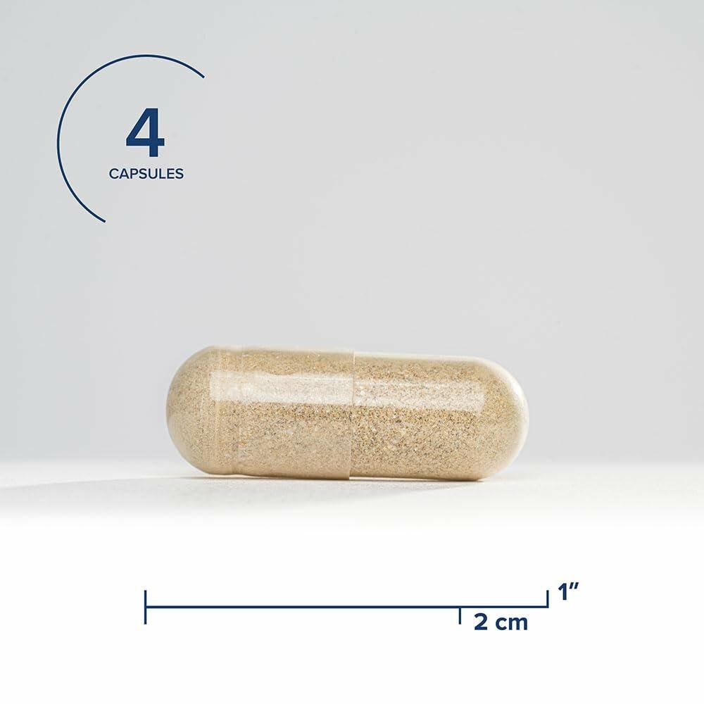 Seeking Health Gallbladder Nutrients - The Oasis of Health