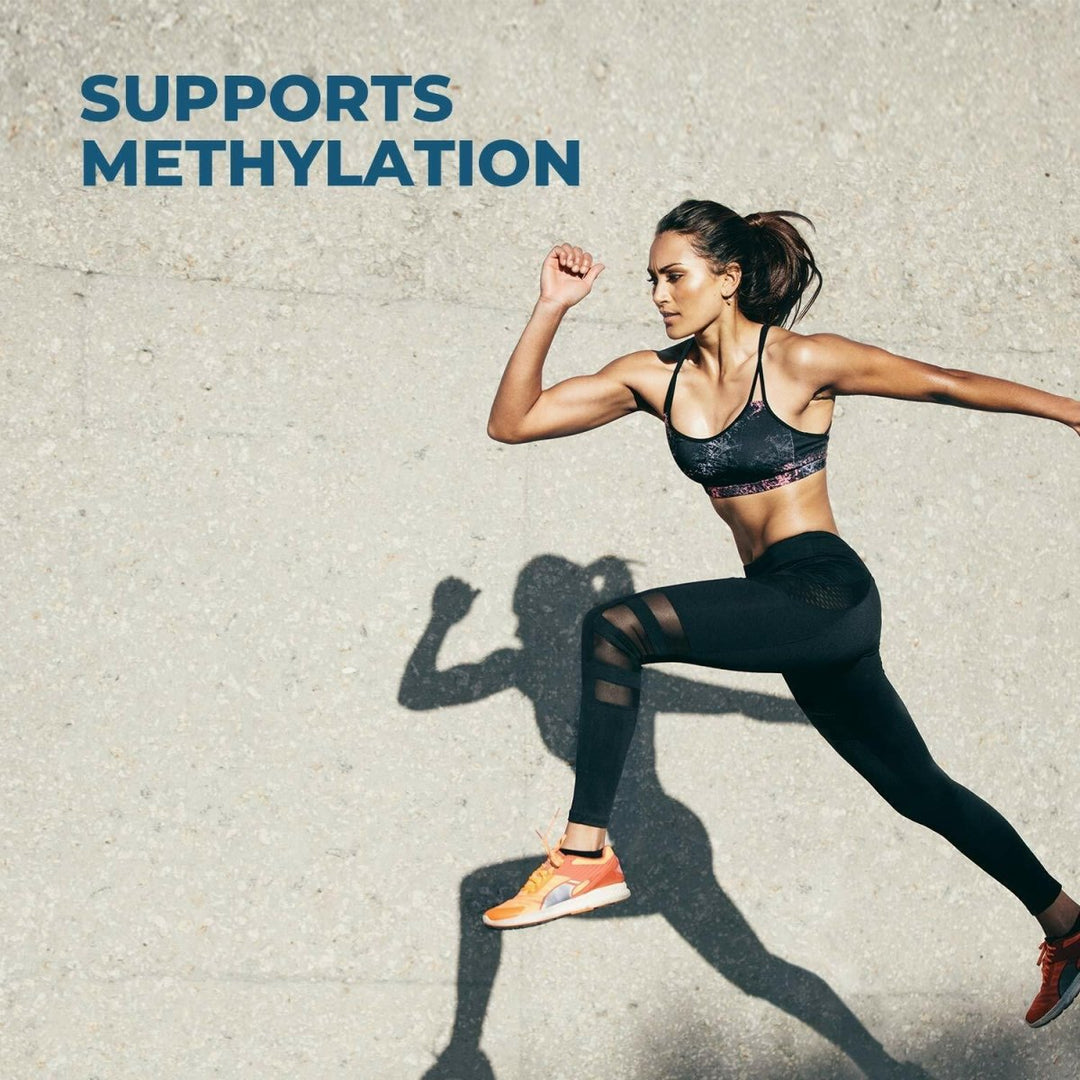Seeking Health Methyl B12 with L - Methylfolate - MTHFR Support Supplement - Methylation Support Supplement - Lozenges to Support Brain Health & Energy - 60 Lozenges - The Oasis of Health