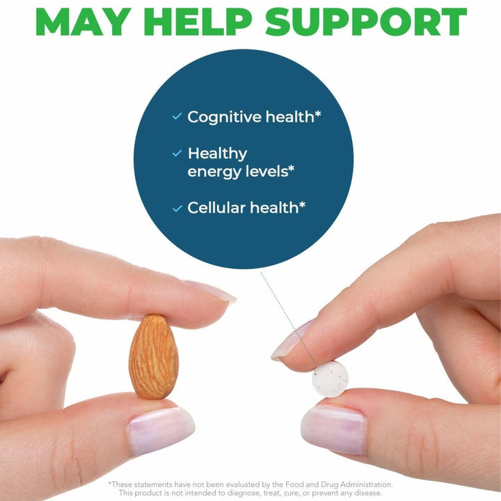 Seeking Health Methyl B12 with L - Methylfolate - MTHFR Support Supplement - Methylation Support Supplement - Lozenges to Support Brain Health & Energy - 60 Lozenges - The Oasis of Health