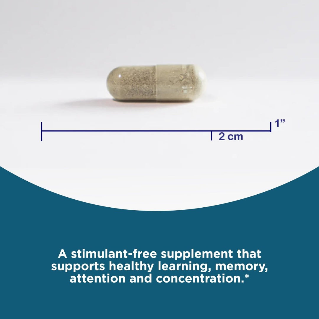 Seeking Health Optimal Focus, Stimulant - Free and Caffeine - Free Nootropic Support for Memory and Focus, with Choline, DHA from Algae, American Ginseng, Vegan and Vegetarian (90 Capsules) - The Oasis of Health