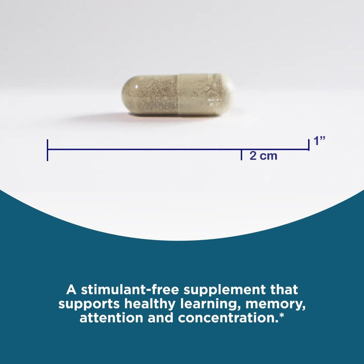 Seeking Health Optimal Focus, Stimulant - Free and Caffeine - Free Nootropic Support for Memory and Focus, with Choline, DHA from Algae, American Ginseng, Vegan and Vegetarian (90 Capsules) - The Oasis of Health