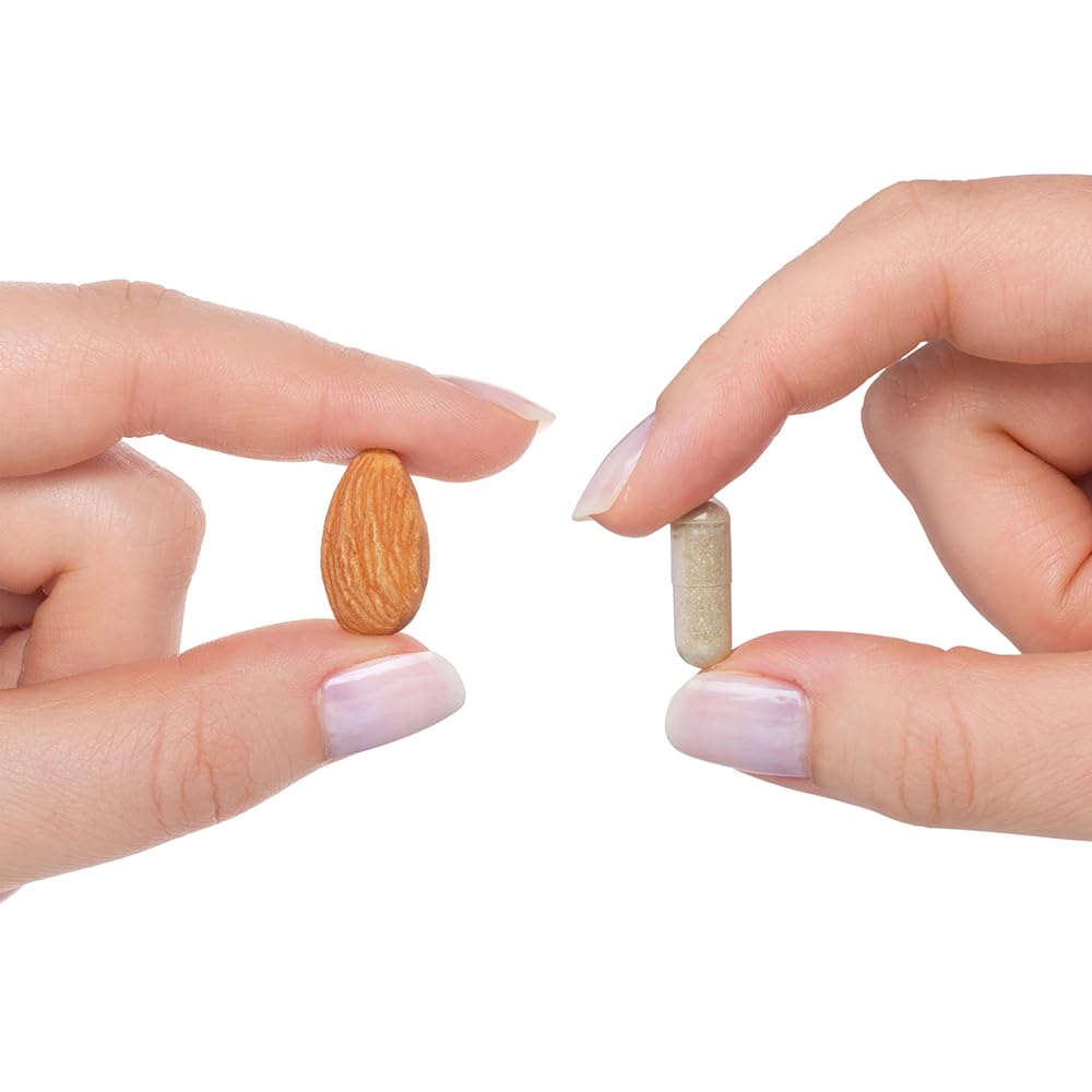 Seeking Health Optimal Iron - Supplement Supports Iron Metabolism & Aids Utilization - Formula with Vitamin C & Riboflavin to Support Absorption - 90 Capsules - The Oasis of Health