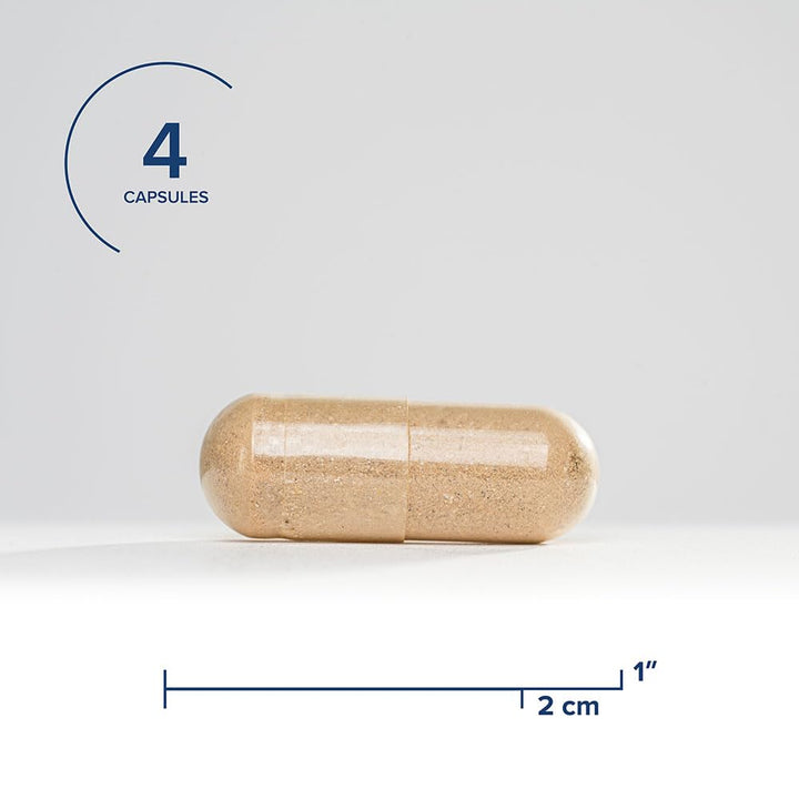 Seeking Health Optimal Man Multivitamin - Supplement with Zinc, Active Folate, & Alpha - Lipoic Acid - Multivitamin Supports Energy & Brain Health - Support Healthy Aging & Men's Health - 30 Servings - The Oasis of Health