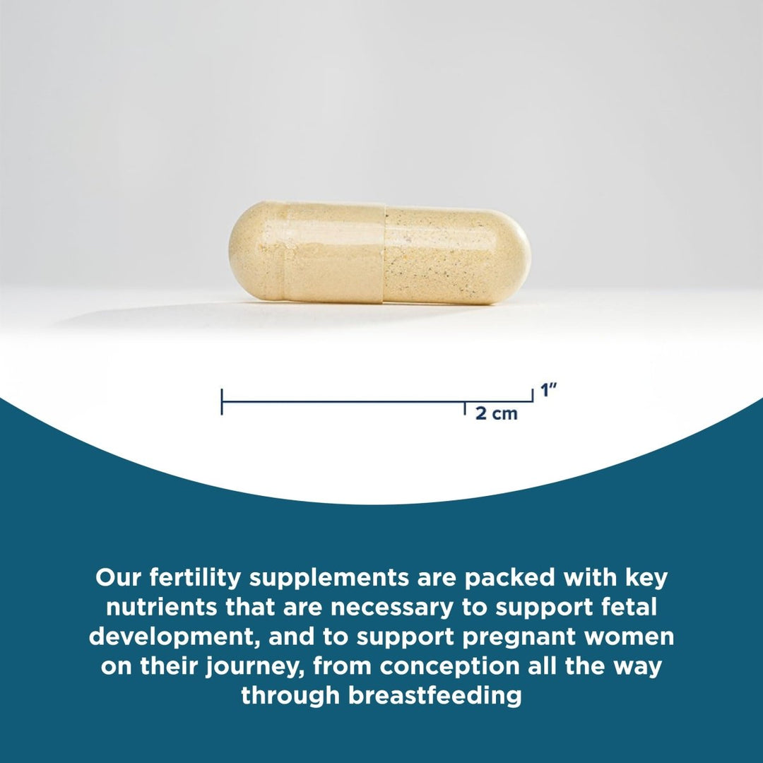 Seeking Health Optimal Prenatal Methyl - Free, Non - Methylated Folate and B12, Pregnancy Support, B6 and Ginger for Digestive Comfort, Supports Healthy Fetal Development, Vegetarian (180 Capsules) - The Oasis of Health